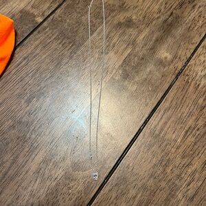 Silver Necklace with skull and diamond